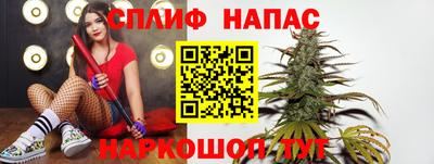 гидра Гусиноозёрск