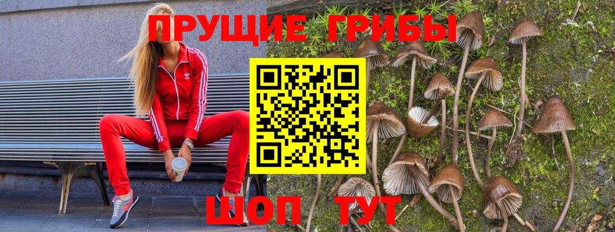 Галлюциногенные грибы GOLDEN TEACHER Лысьва